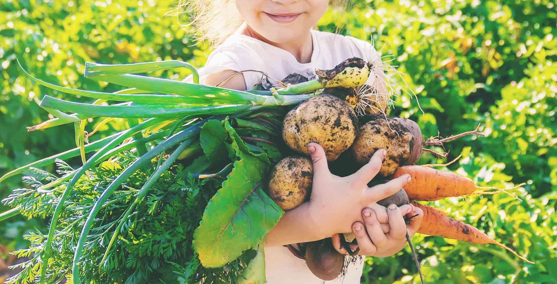 Post Cover - “Food security” e “food safety”: la dicotomia tra Ue e paesi in via di sviluppo